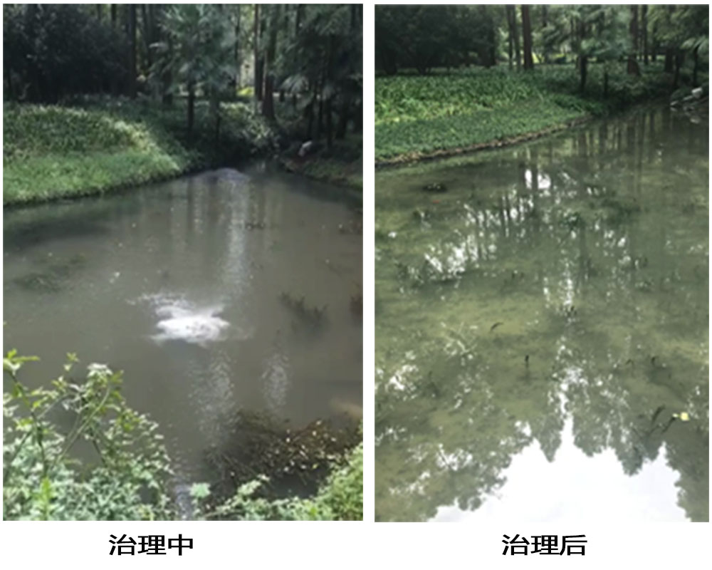 未标题-2.jpg